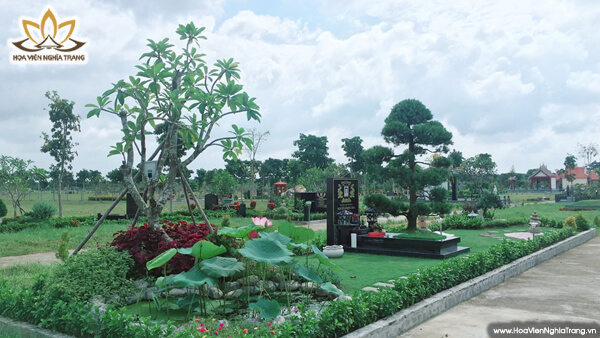 Đất dưỡng sinh
